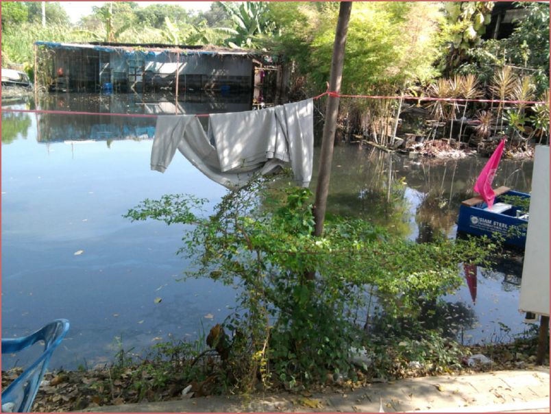 รูปถ่าย4284 