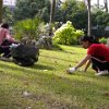 DSCN0090