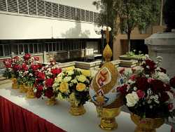 DSCN0361
