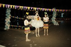 IMG_8577