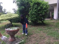 IMG 7053