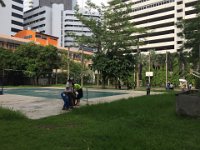 IMG 7058