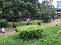 IMG 7071