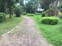 IMG 7076