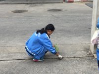 IMG 7095