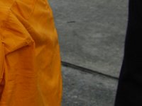 DSC 6237