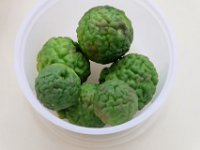 DSCF6240