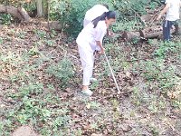 IMG 1219