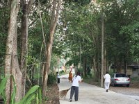 IMG 1247 (43)