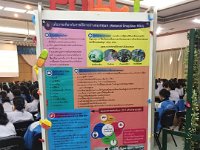 17IMG 1659