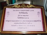 DSC 0031